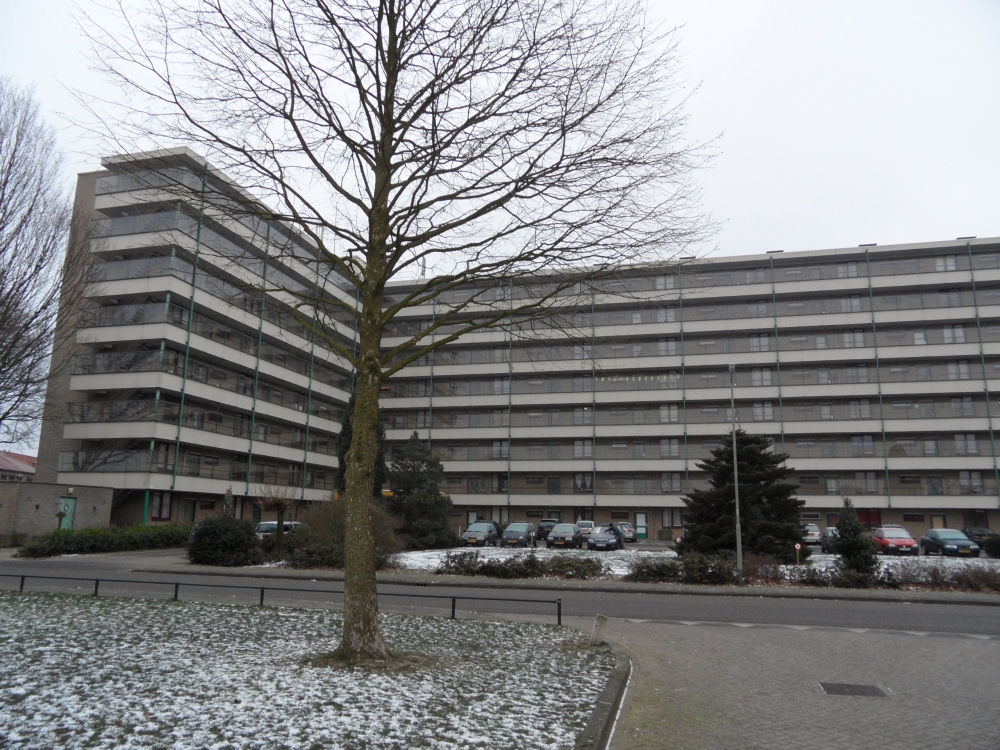 Schuttersveld 4, 5801 EH Venray, Nederland