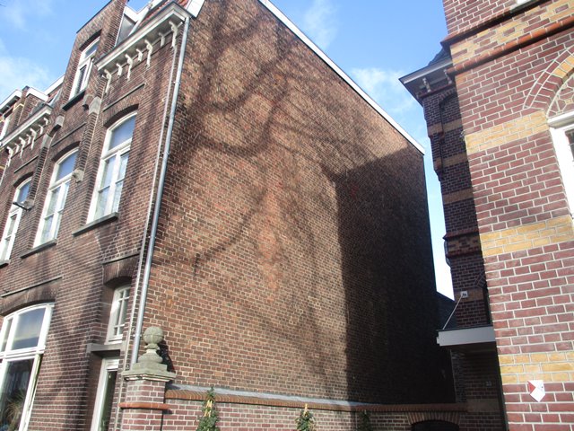Goltziusstraat 31A