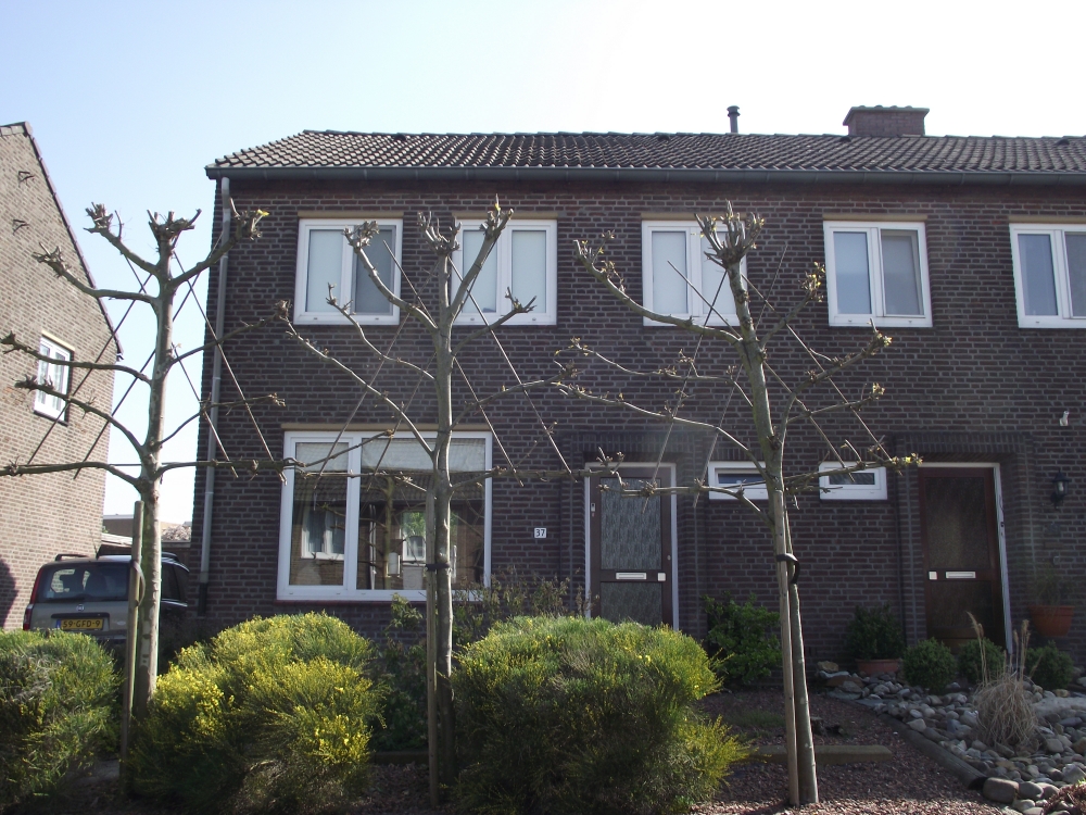 Minnegardsweg 37, 6367 KE Voerendaal, Nederland