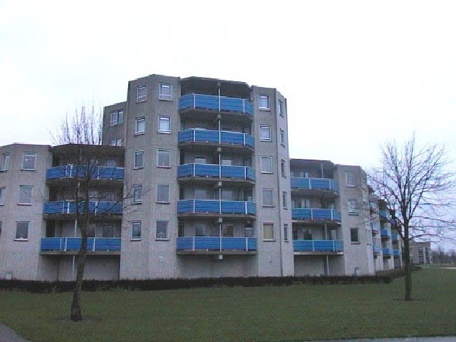 Appartement te huur: Zilvermeeuw 203, Graswinkel Weert