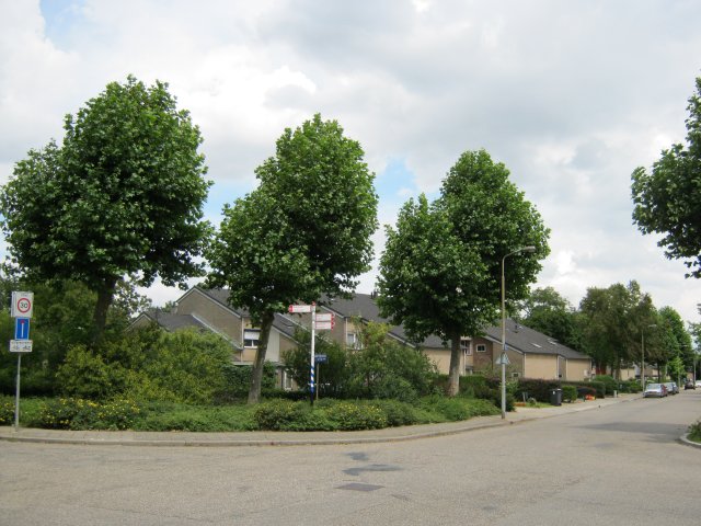 Goethelaan 26, 5924 BN Venlo, Nederland