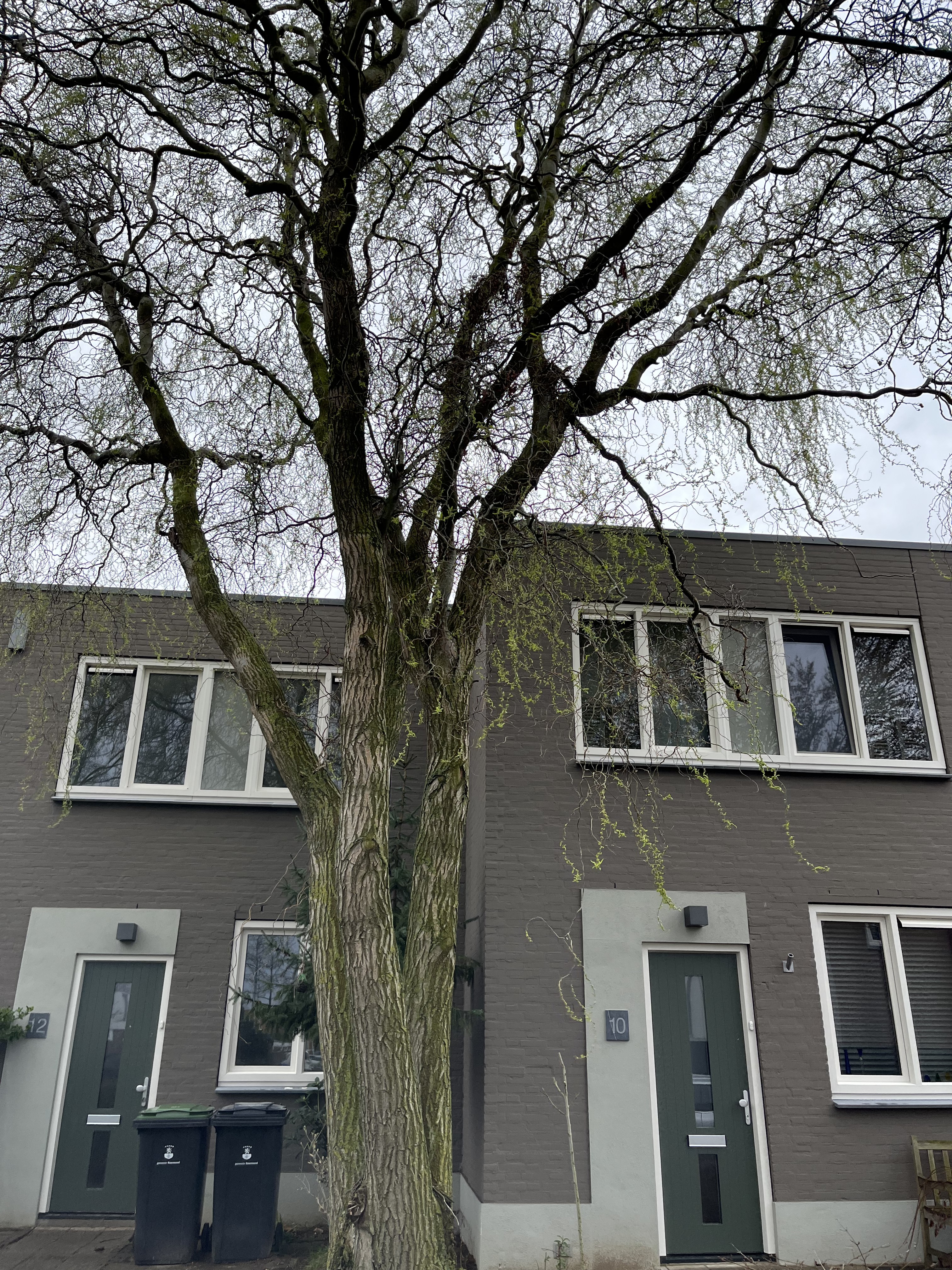 Oberonstraat 12, 6043 TP Roermond, Nederland