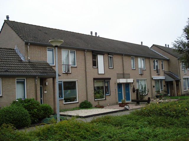 Roerdomp 3