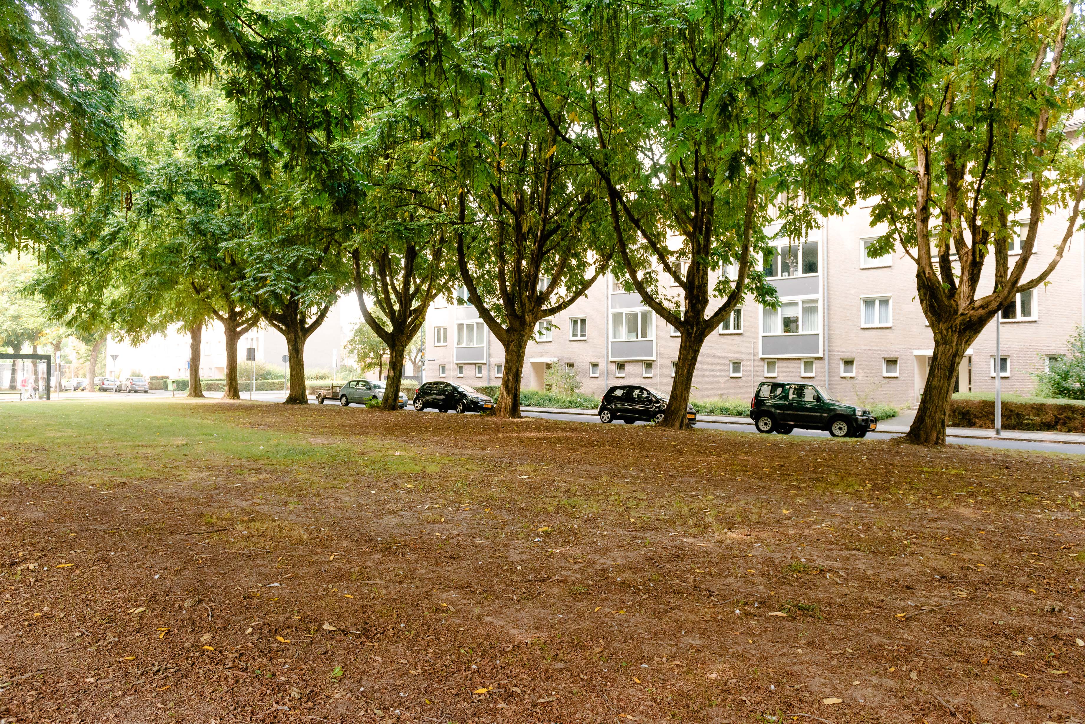 Wardehofplein 15C