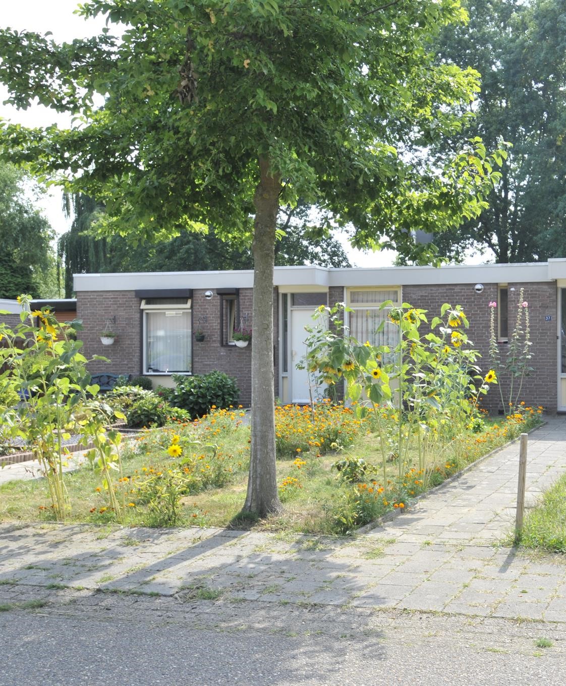 Diepenbrockstraat 35, 6044 SG Roermond, Nederland